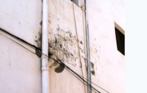 كشف تسربات البدرومات والقبو بمكة